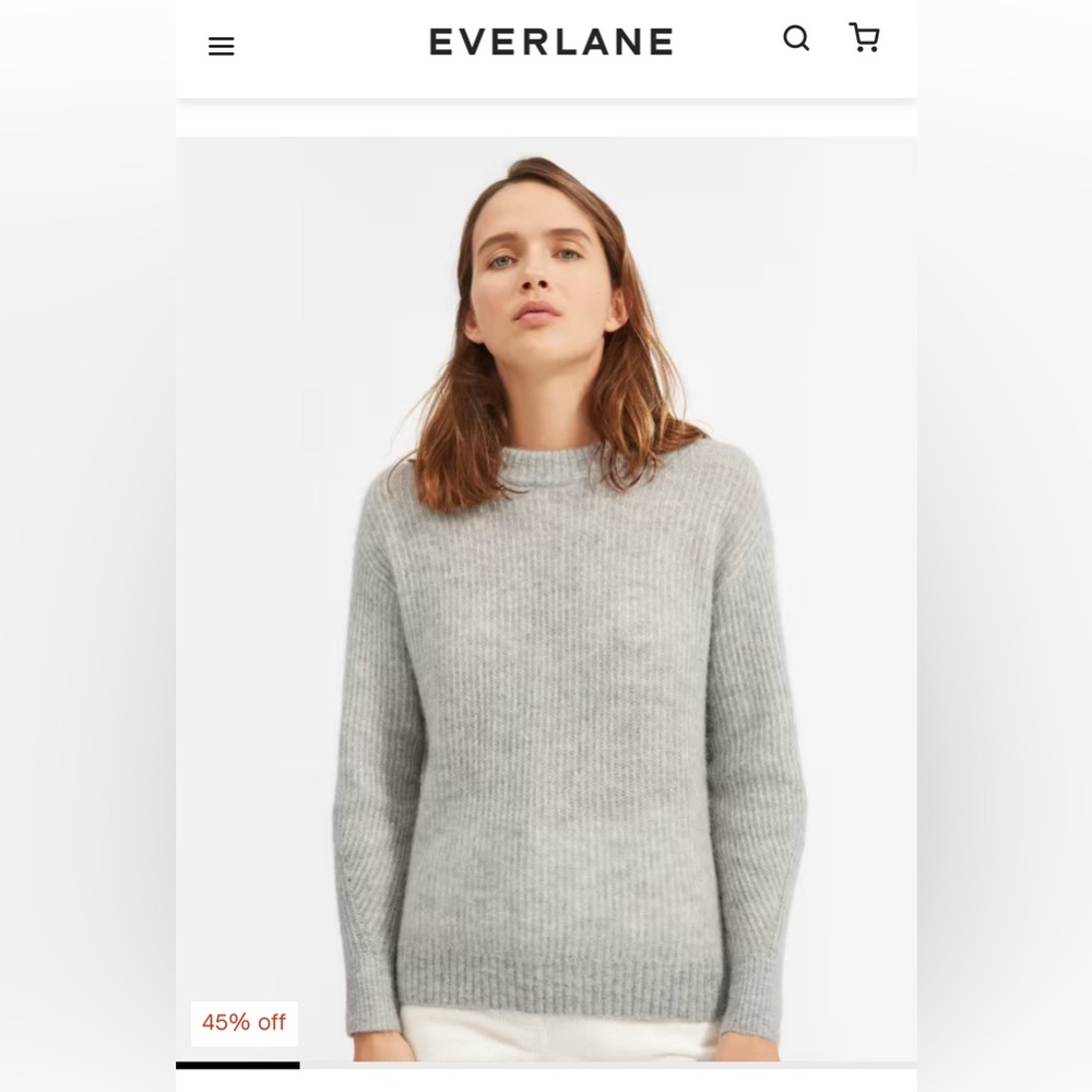 Everlane The Cacoon Crew Alpaca Sweater